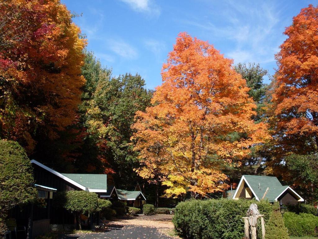 Amber Lantern Two-Bedroom Cottage レイク・ジョージ 部屋 写真